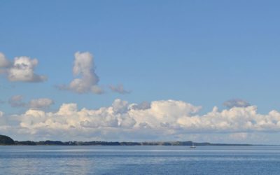 Agri Nord opfodrer kommunerne til at holde vandmiljøet rent